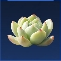 Succulent